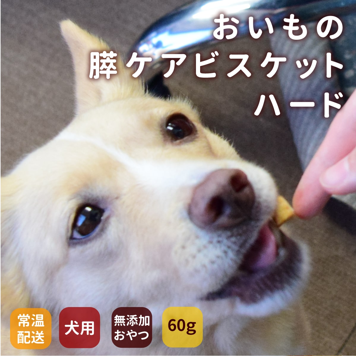犬用無添加おやつ|脂肪控えめ おいもの膵ケアビスケハード60g